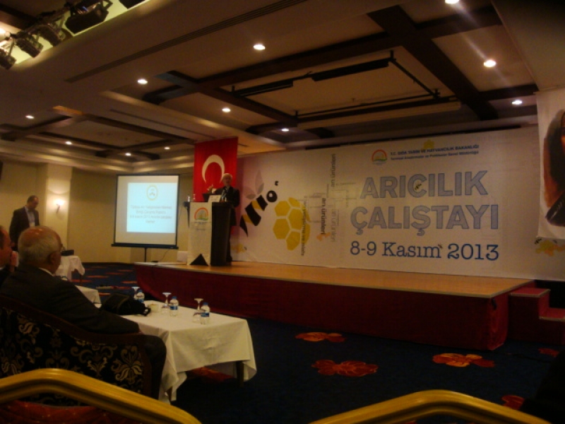 Arı Çalıştayı -Antalya
