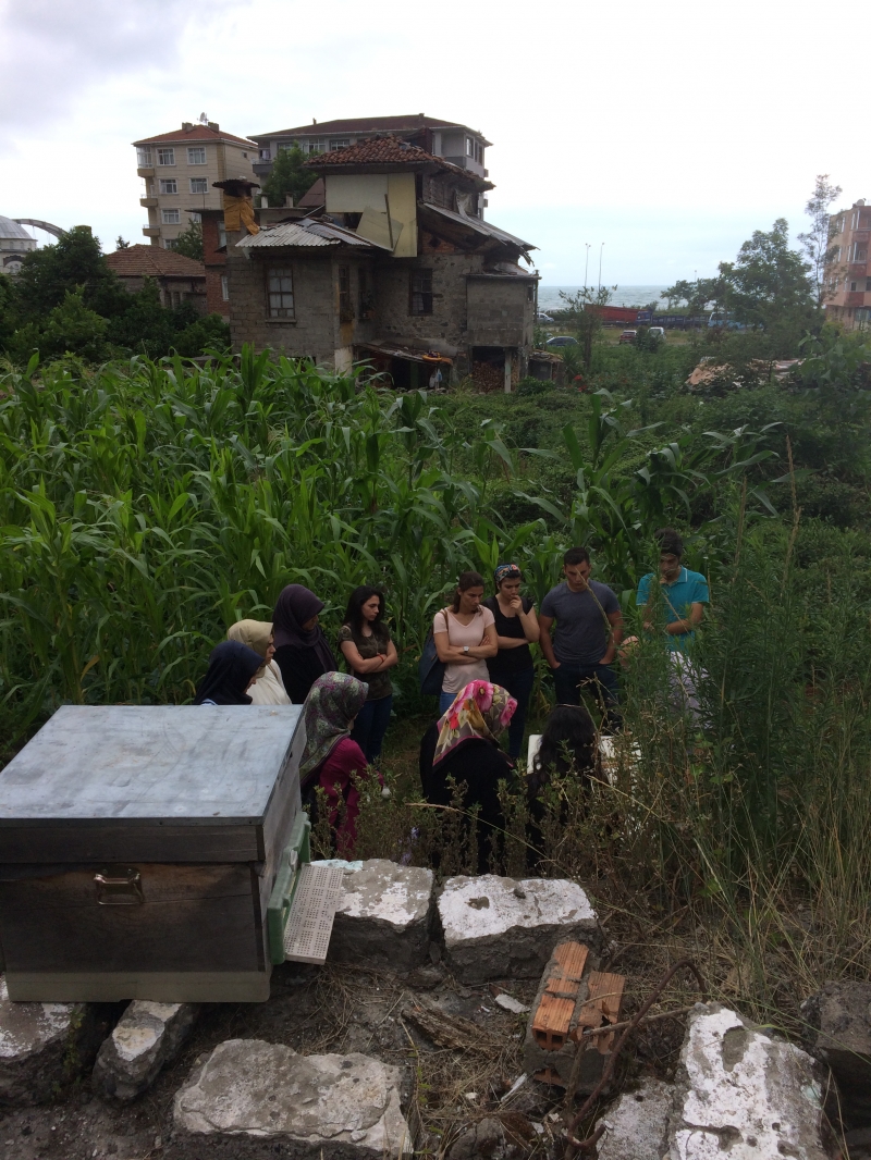 Arıcılık eğitimleri
