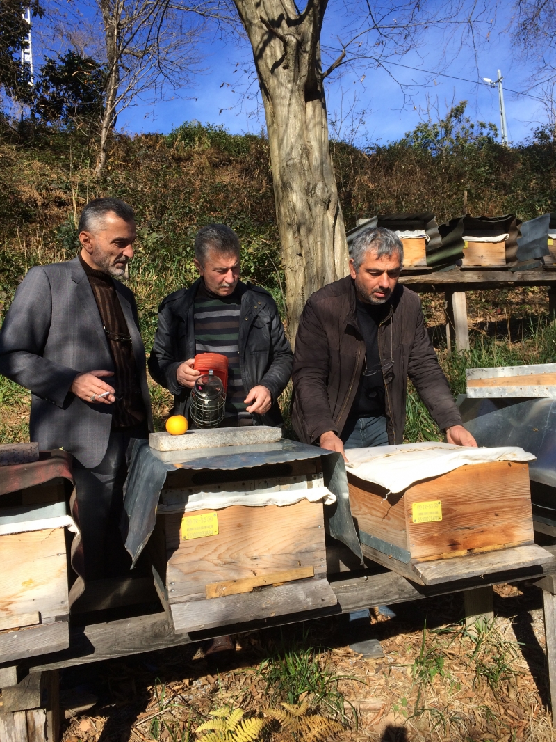 Gezginci Arıcılıkta dikkat edilmesi gerekenler